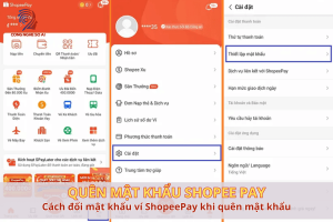 Xử lý nhanh quên mật khẩu ShopeePay làm sao? Cách đổi lại khi quên